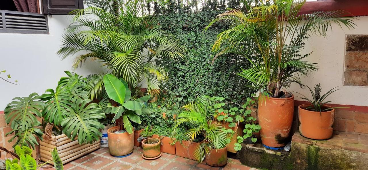 מדיין Villa Del Prado מראה חיצוני תמונה